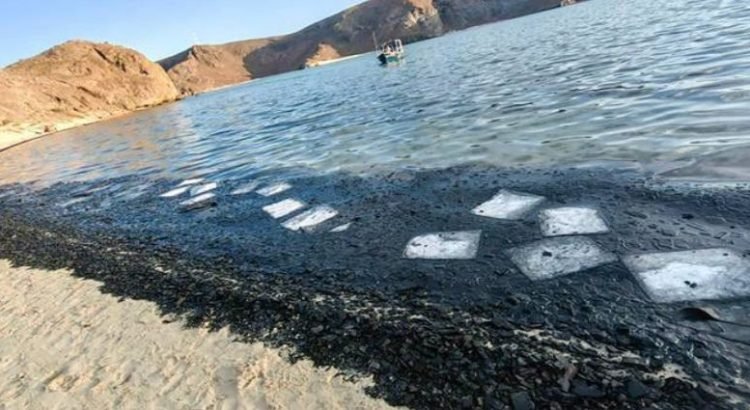 Grave daño ecológico en Playa Balandra Grave daño ecológico en Playa Balandra