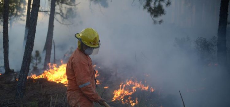 En la temporada de este año, se produjeron 256 incendios forestales en Veracruz