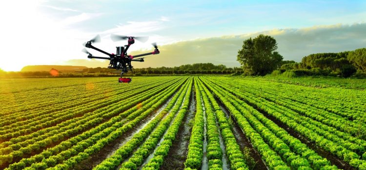 Agricultura de precisión, la tecnología que busca optimizar la producción agrícola