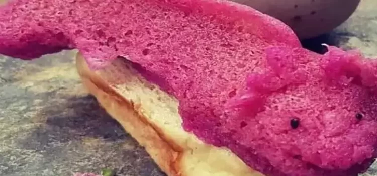 ¿Ya tienes que ofrecer el Día de la Candelaria?