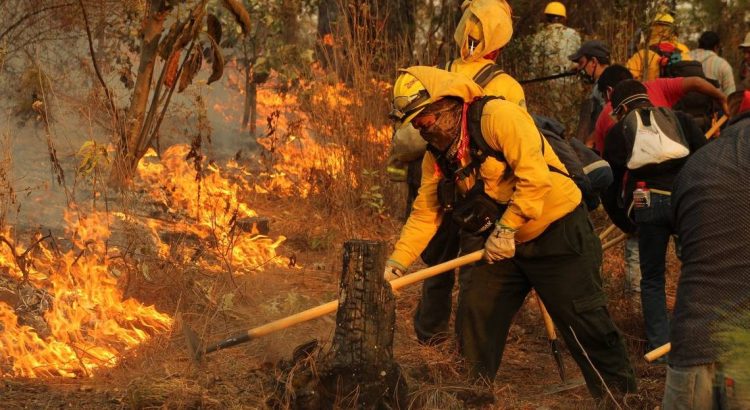 Registra Veracruz 90 incendios forestales en la que va del año