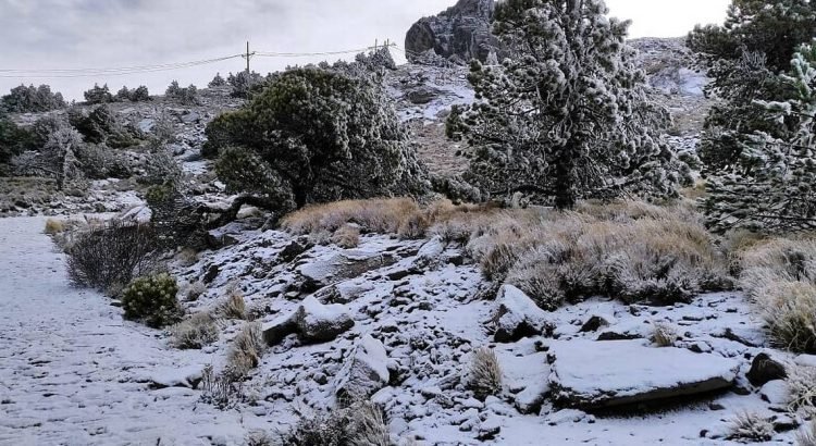 Cofre de Perote registra caída de nieve en plena primavera