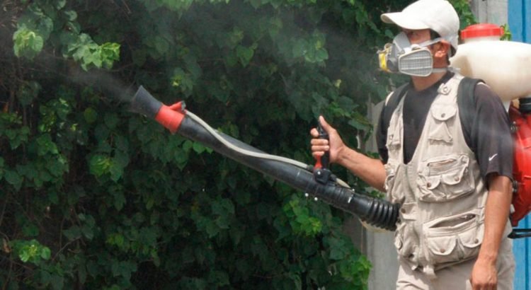 IMSS de Veracruz llama a la población a mantener medidas de prevención ante dengue