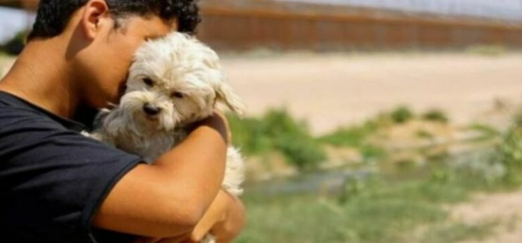 Mascotas en Xalapa podrán tener nombre y apellido