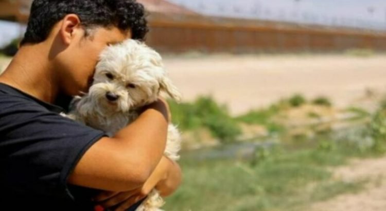Mascotas en Xalapa podrán tener nombre y apellido