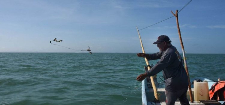 Reciben 500 pescadores de Veracruz tarjetas de control