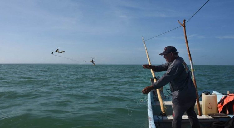 Reciben 500 pescadores de Veracruz tarjetas de control