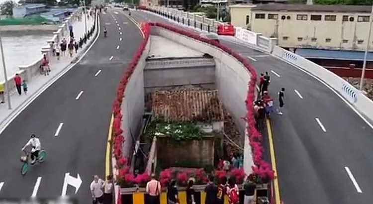 Construyeron una autopista alrededor de su casa