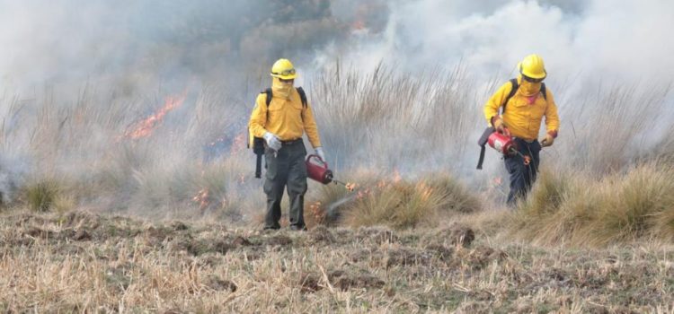 Registra Veracruz 125 incendios forestales en lo que va del año