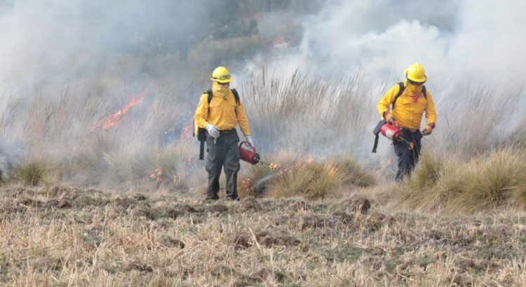 Registra Veracruz 125 incendios forestales en lo que va del año