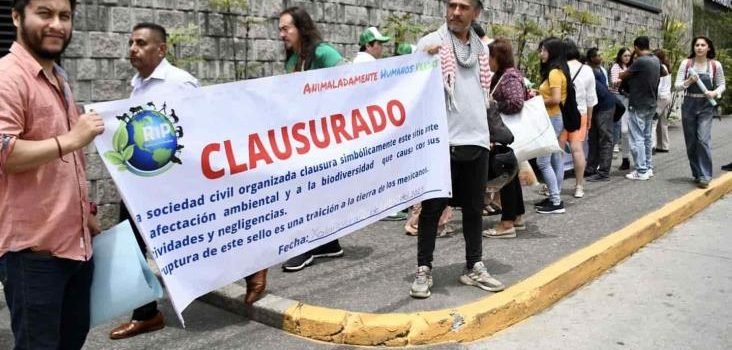 Ambientalistas de Xalapa buscan frenar la tala de 64 árboles