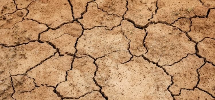 Fuentes de Veracruz bajan 30 centímetros de nivel debido al intenso calor
