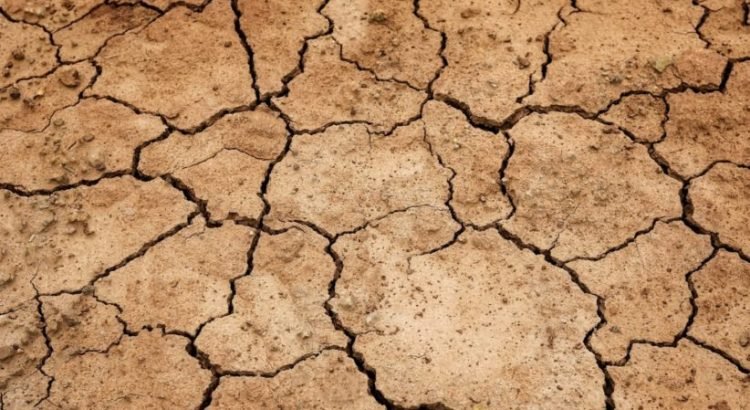 Fuentes de Veracruz bajan 30 centímetros de nivel debido al intenso calor