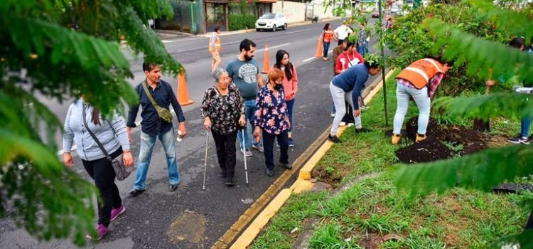 Llevan a cabo reforestación en Xalapa