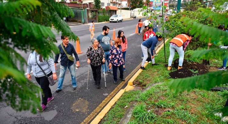 Llevan a cabo reforestación en Xalapa