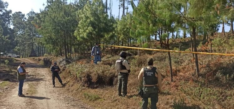 Realizan trabajos coordinados para detener la tala ilegal en el Cofre de Perote
