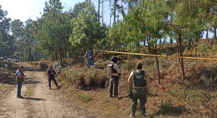 Realizan trabajos coordinados para detener la tala ilegal en el Cofre de Perote
