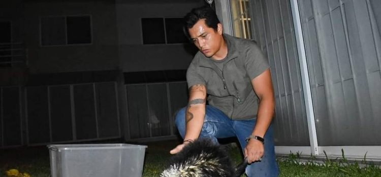 Activista de Veracruz denuncia en redes sociales haber sido víctima de amenzas