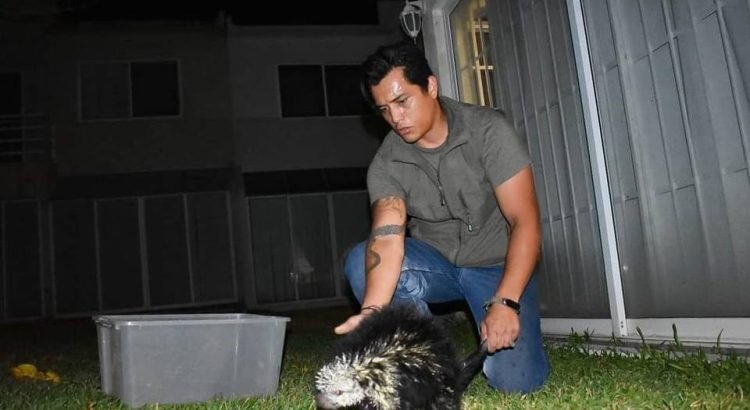 Activista de Veracruz denuncia en redes sociales haber sido víctima de amenzas