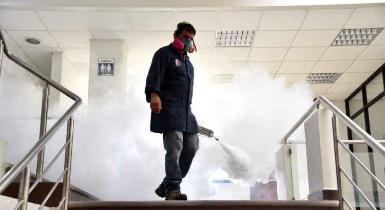 Diputado culpa al gobierno de Veracruz por no fumigar a tiempo contra el dengue