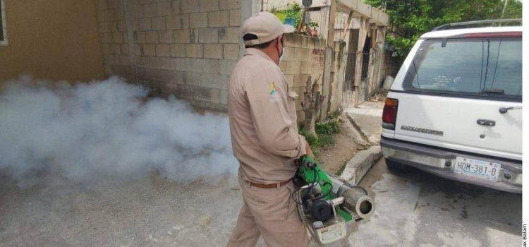 Reporta Veracruz 19 defunciones por dengue en lo que va del año