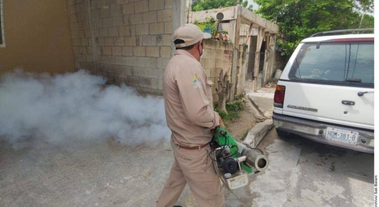 Reporta Veracruz 19 defunciones por dengue en lo que va del año