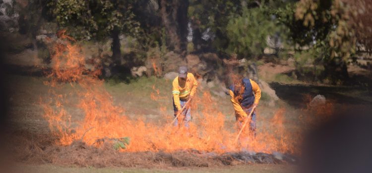 Veracruz registró 18% menos incendios forestales en 2023