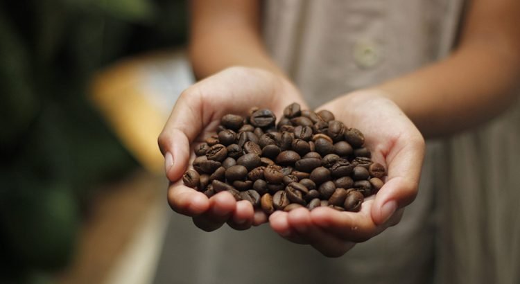 Aumenta el precio del café en comercios de Xalapa