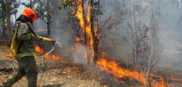 Veracruz ocupa el cuarto lugar en incendios forestales este año