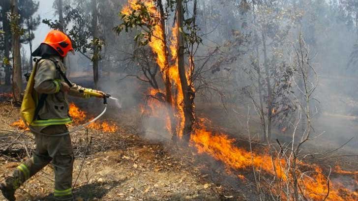 Veracruz ocupa el cuarto lugar en incendios forestales este año
