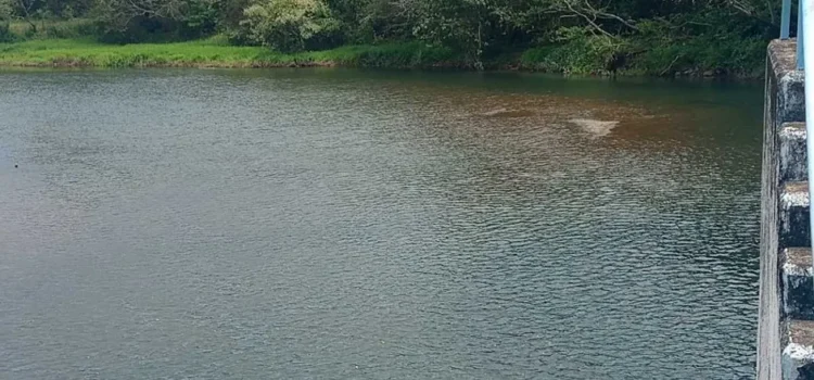 Presa Yuribia se seca y afecta a más de 100 mil habitantes