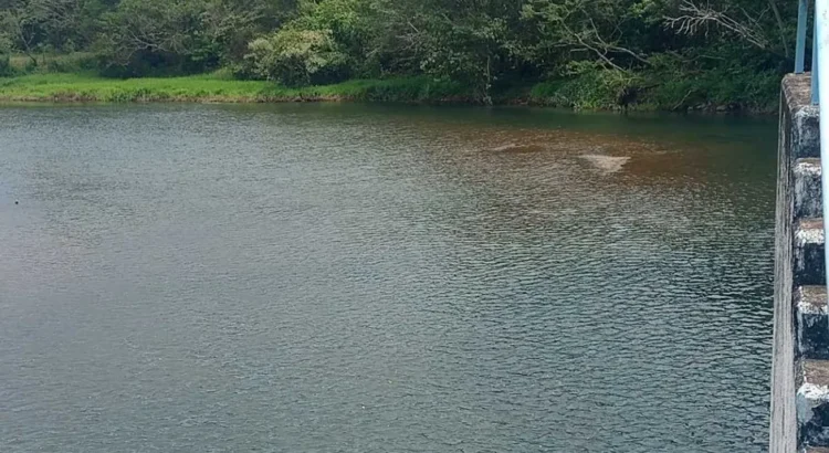 Presa Yuribia se seca y afecta a más de 100 mil habitantes