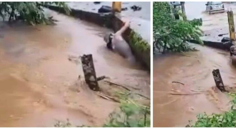 Graban a hombre mientras lo arrastra la corriente de un arroyo en Catemaco; video indigna en redes sociales