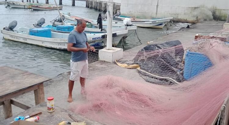 Pescadores del Puerto de Veracruz llevan una semana sin salir al mar