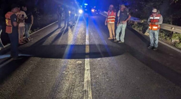 Socavón en carretera a Poza Rica paraliza el tráfico y alerta a conductores