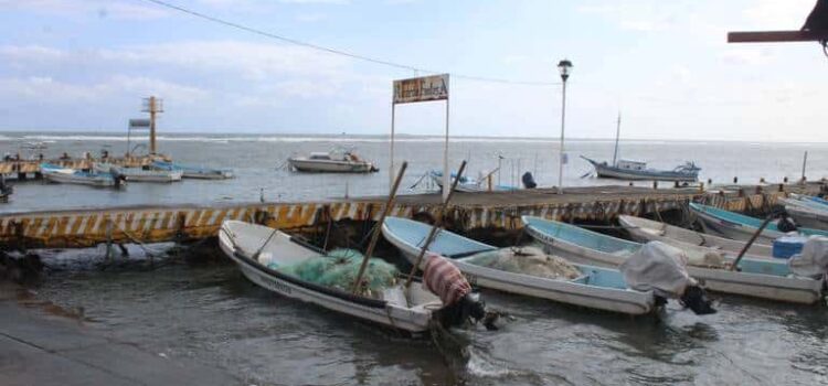 Pese a rachas de 100 km por hora, Frente Frío 10 dejó saldo blanco en zona conurbada