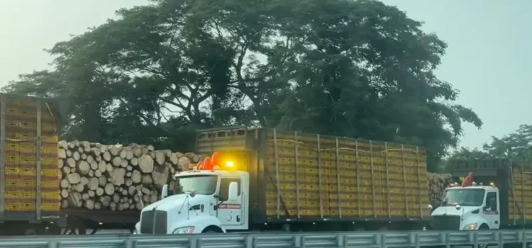 Se registra cierre parcial de circulación en autopista de Veracruz