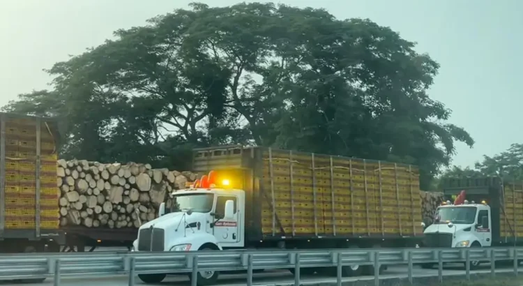 Se registra cierre parcial de circulación en autopista de Veracruz