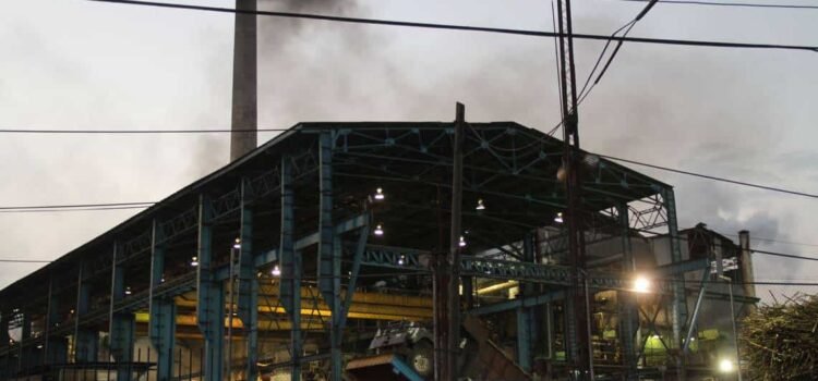 17 de los 18 ingenios azucareros de Veracruz comienzan zafra durante 6 meses