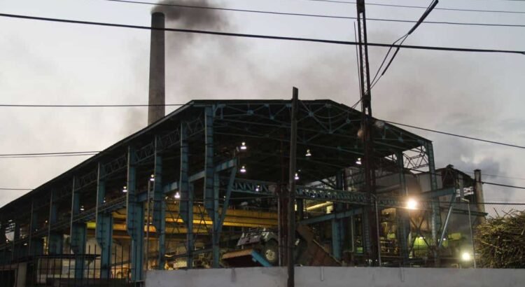 17 de los 18 ingenios azucareros de Veracruz comienzan zafra durante 6 meses