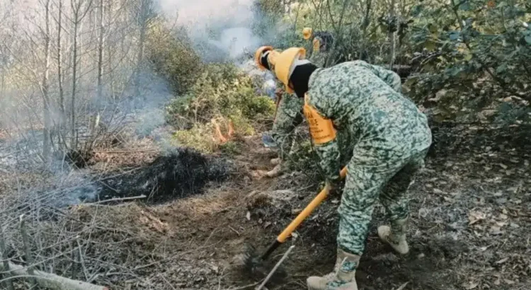 Sedena aplica Plan DN-III-E en incendio forestal en Perote, Veracruz