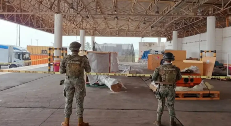 Semar asegura más de media tonelada de mariguana en Aduana de Veracruz
