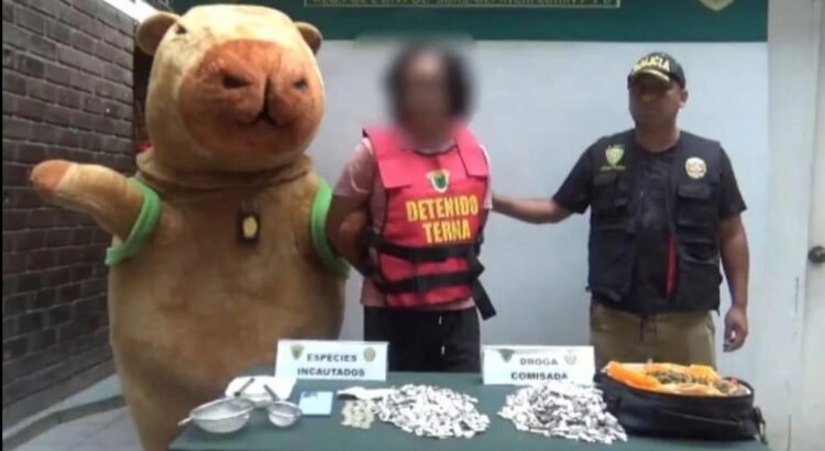Policía disfrazado de capibara captura a traficante de drogas