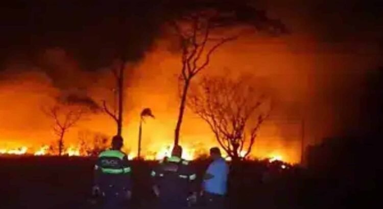 En una semana hubo cuatro incendios forestales en el estado