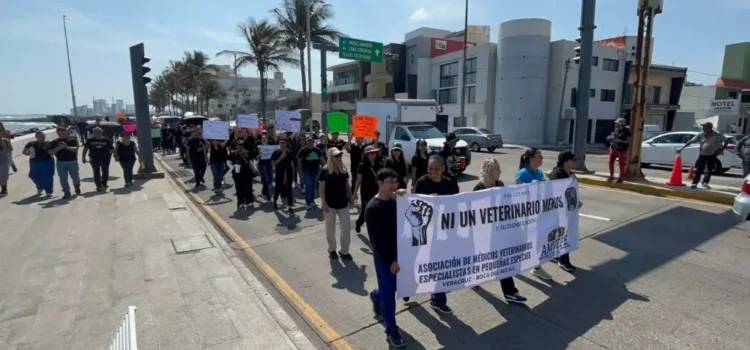 Marchan veterinarios en Veracruz; exigen justicia por Héctor Hernández, asesinado en Edomex
