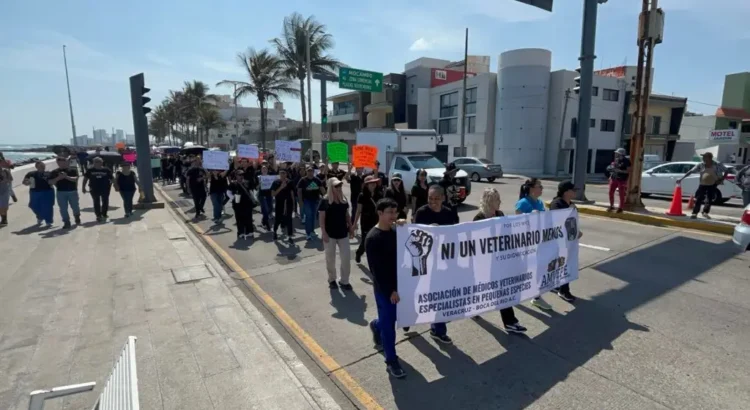 Marchan veterinarios en Veracruz; exigen justicia por Héctor Hernández, asesinado en Edomex