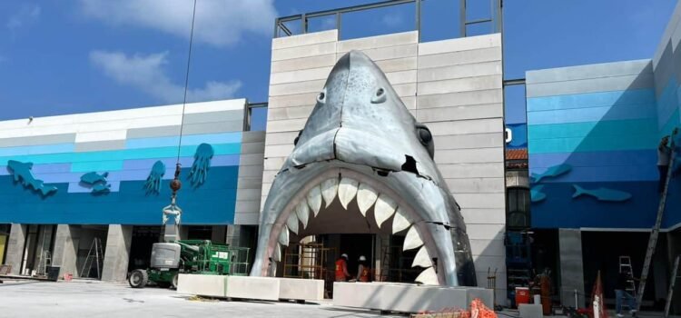 Dos nutrias faltantes en el Aquarium entre 2024 y 2025; piden transparencia en PMA Dos nutrias faltantes en el Aquarium entre 2024 y 2025; piden transparencia en PMA