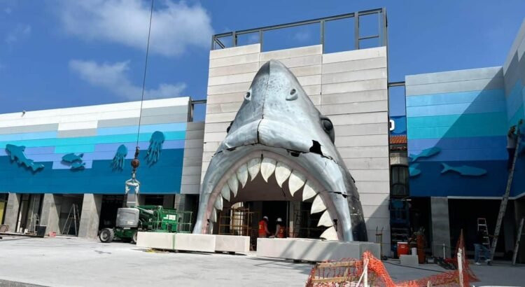Dos nutrias faltantes en el Aquarium entre 2024 y 2025; piden transparencia en PMA