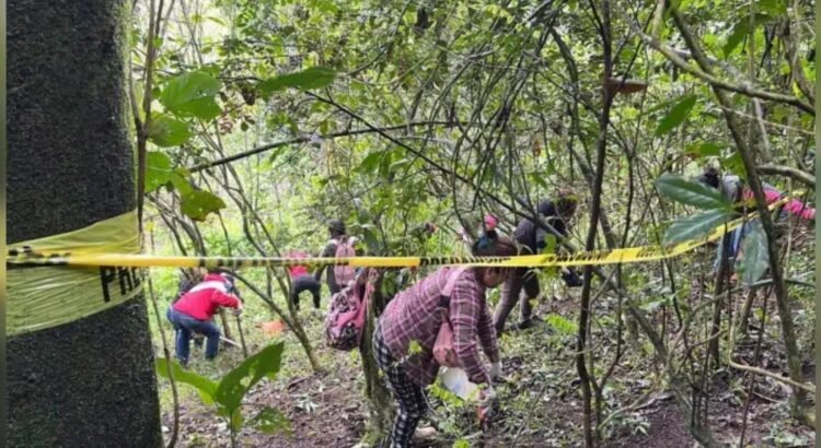 Asemejan al ‘campo de exterminio’ de Jalisco las fosas en Veracruz: activistas