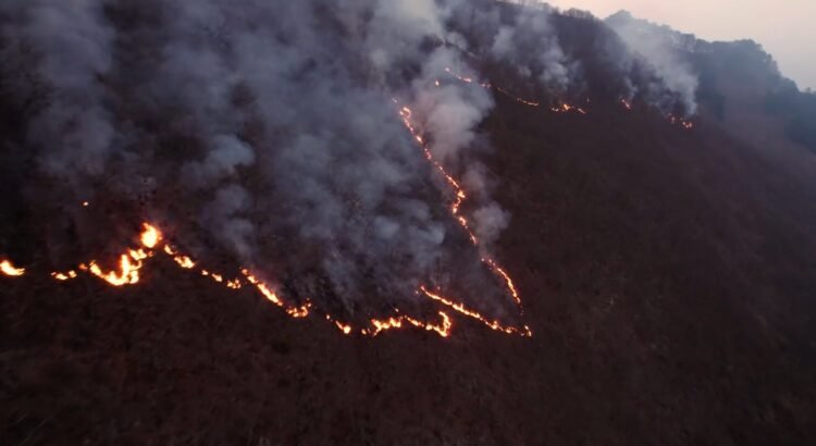 Lleva Veracruz 40 incendios forestales en este 2025